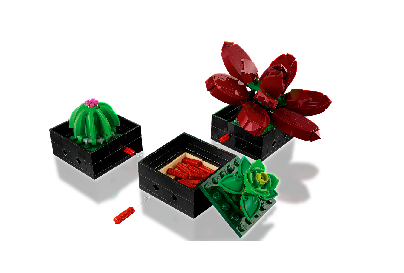 LEGO® 10309 Creator Expert Succulents