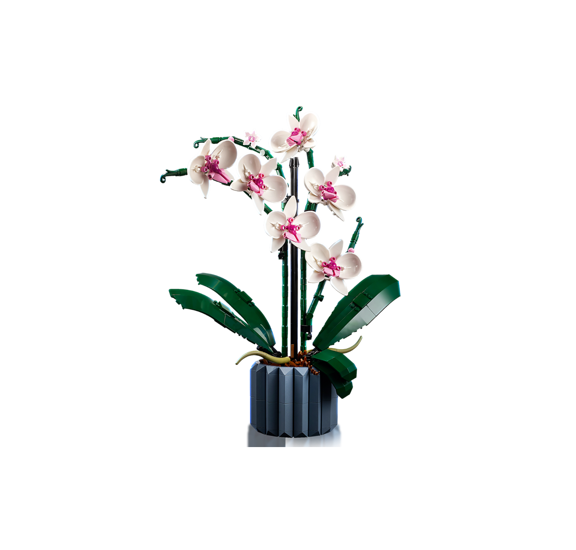 LEGO® 10311 Creator Expert Orchid