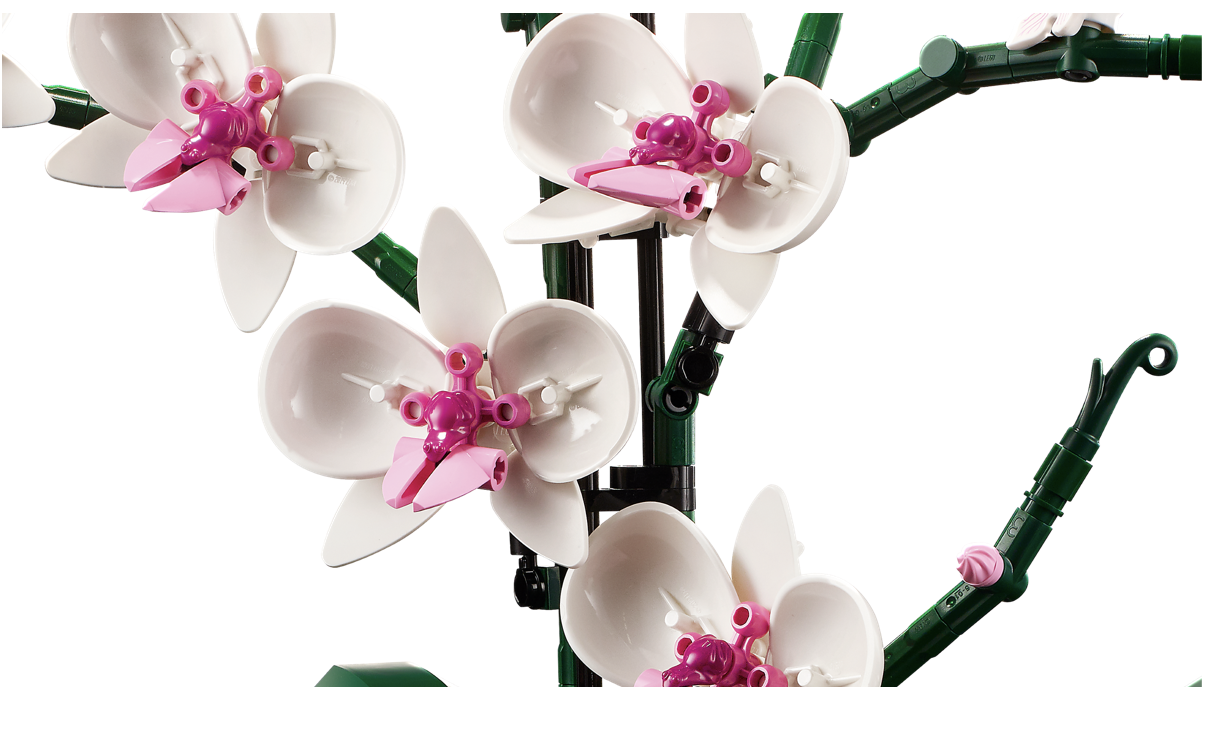 LEGO® 10311 Creator Expert Orchid