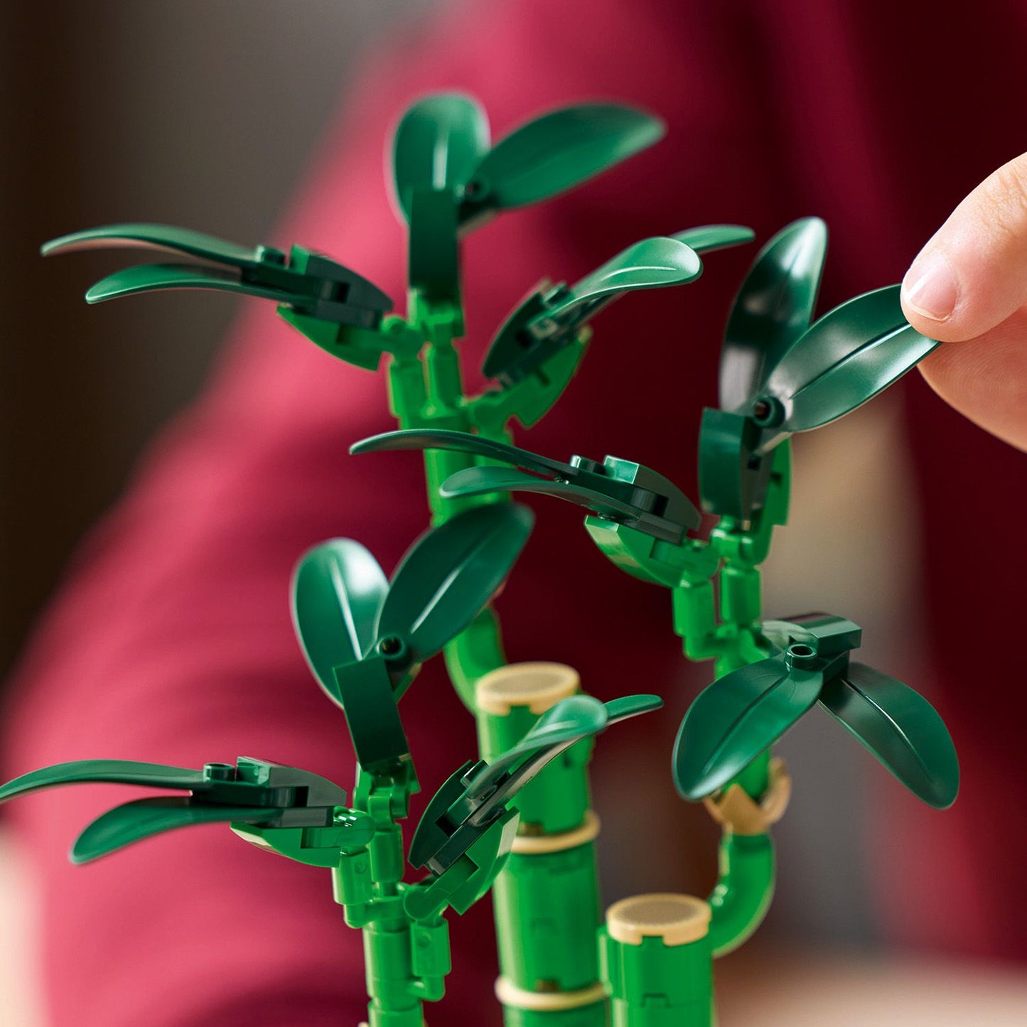 LEGO® Botanicals Lucky Bamboo