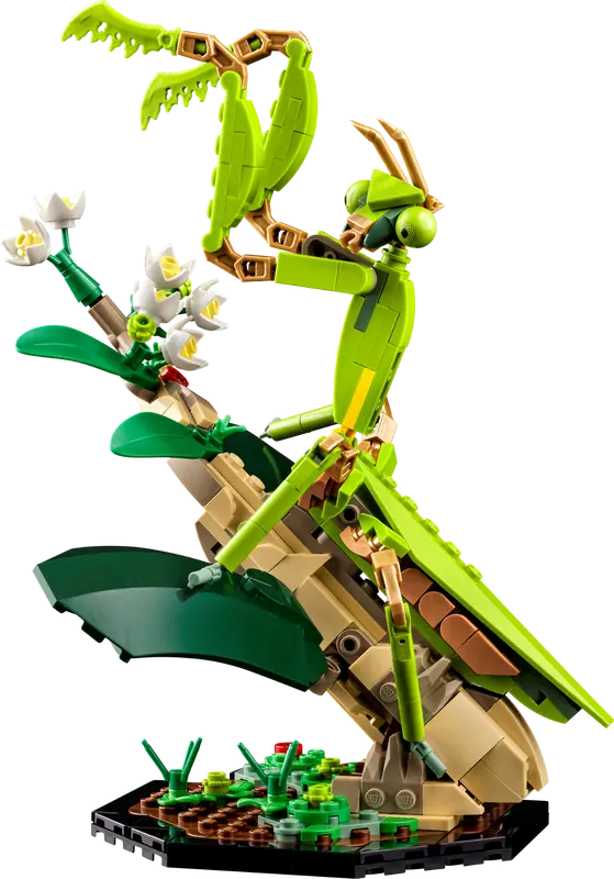 LEGO®  21342 Ideas The Insect Collection (Ship From 6th of September 2024)