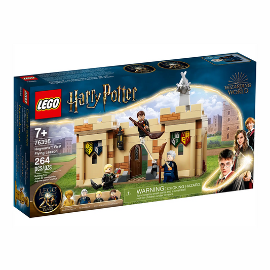 LEGO® 76395 Harry Potter Hogwarts?: First Flying Lesson